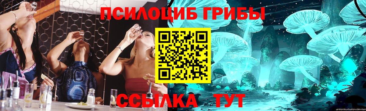 Галлюциногенные грибы GOLDEN TEACHER Десногорск